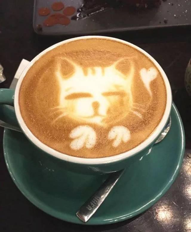 长沙最好的猫咖店_长沙猫咖啡店推荐_长沙猫咪咖啡馆